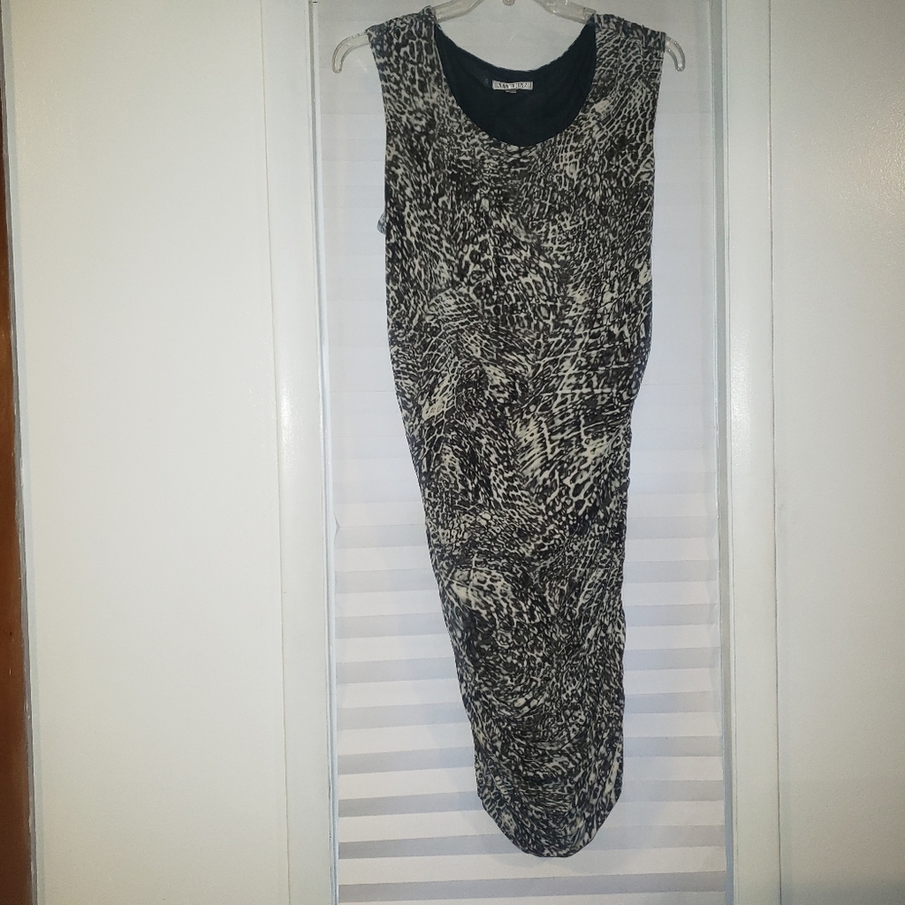 Jennifer Lopez Dress